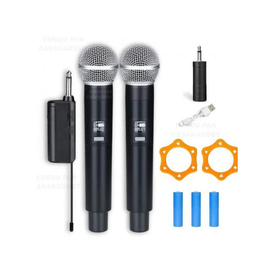 2 Microphones professionnels dynamiques sans fil à 2 canaux UHF Rechargeable