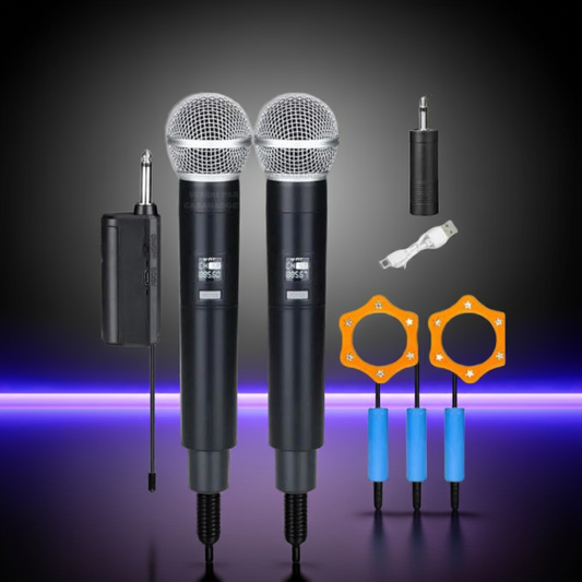 2 Microphones professionnels dynamiques sans fil à 2 canaux UHF Rechargeable