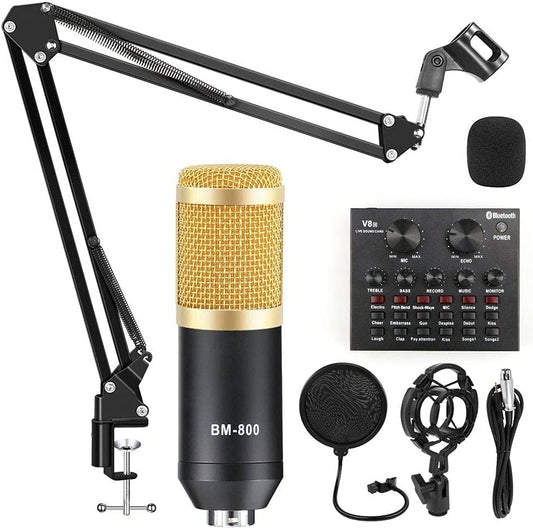 Microphone BM-800 et carte sone v8