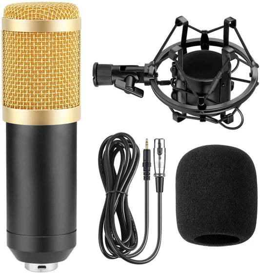 Microphone BM-800 et carte sone v8