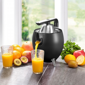 Presse Agrume Electrique Design Avec Bras