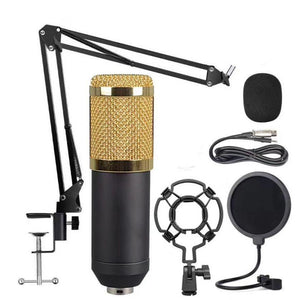 Microphone BM-800 et carte sone v8