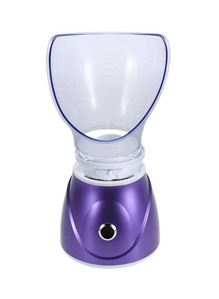Professional Facial Steamer