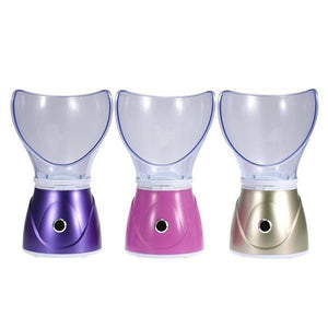 Professional Facial Steamer